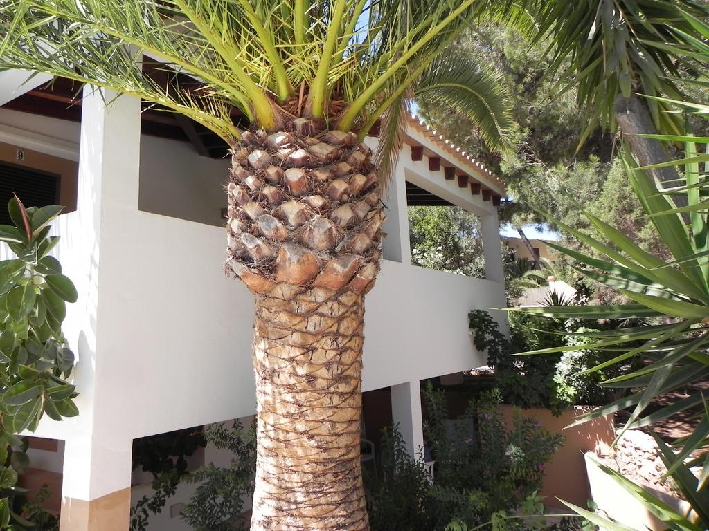 Viviendas Turisticas Vacacionales Allida ปลายามิจอร์น ภายนอก รูปภาพ