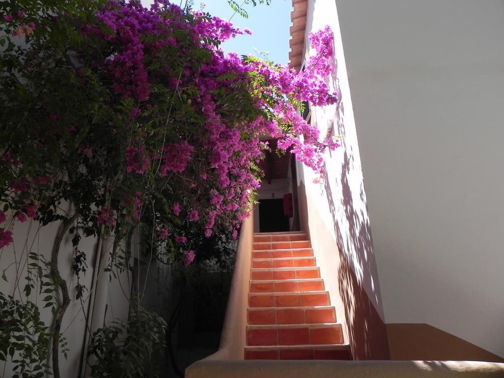 Viviendas Turisticas Vacacionales Allida ปลายามิจอร์น ภายนอก รูปภาพ